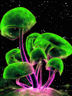 Natura - glowing mushrooms.dak.gif