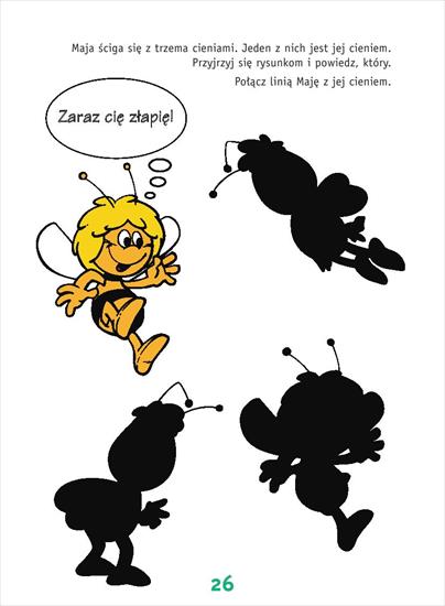 Pszczółka Maja wiele zadań dla trzylatków - Pszczółka Maja wiele zadan dla trzylatków 24.JPG